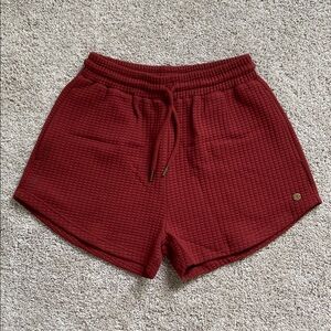 Love Fitness Apparel • Phaedra Shorts Phoenix